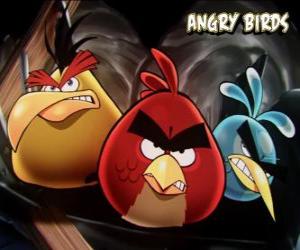 Puzzle Άλλα τρία πουλιά από το βιντεοπαιχνίδι Angry Birds